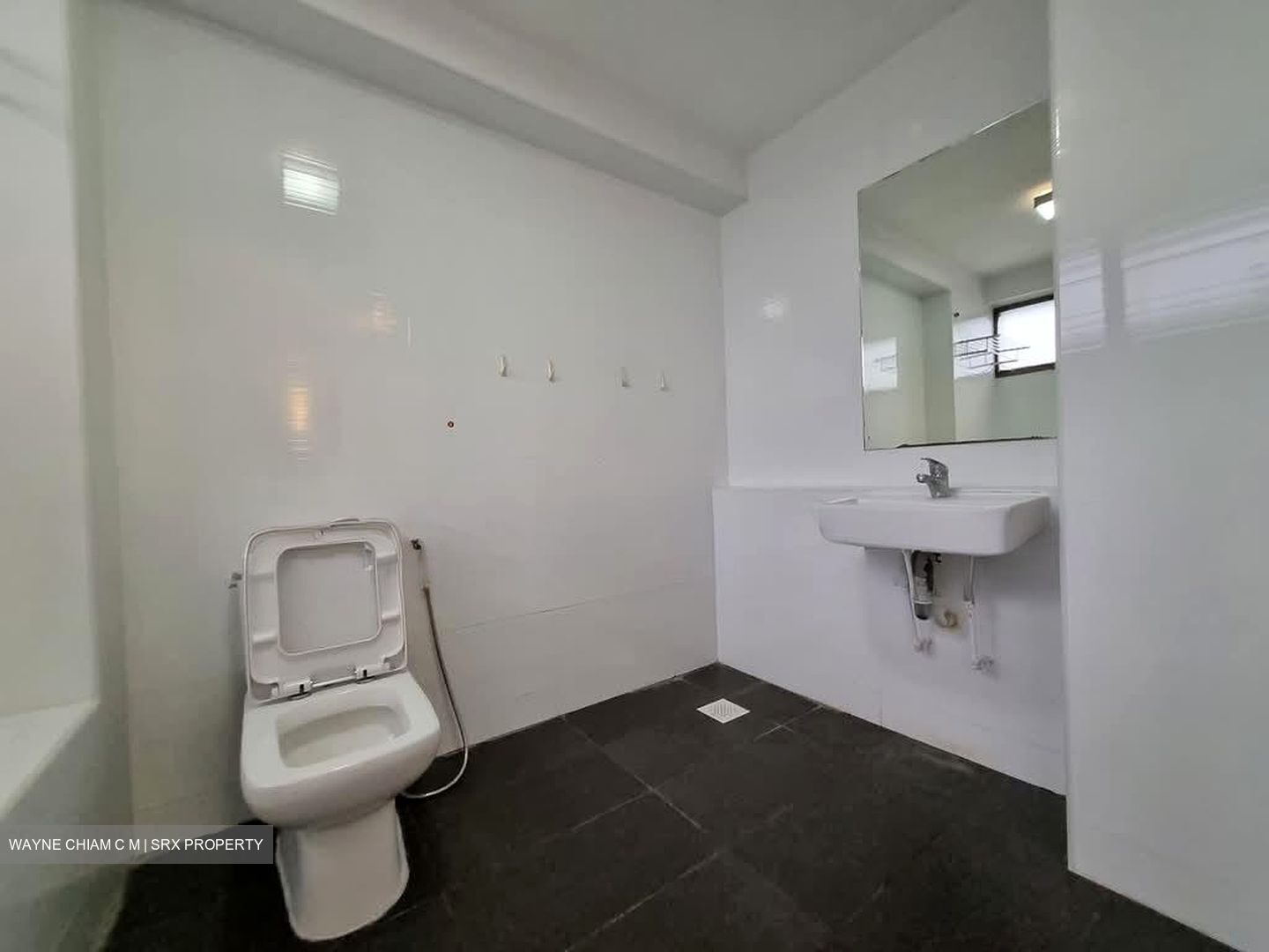 The Cairnhill (D9), Condominium #559695151